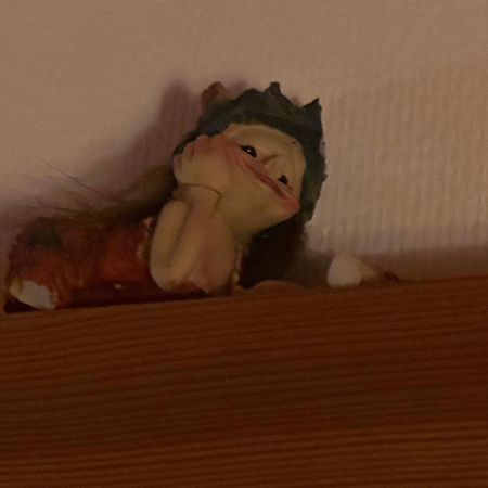 Trollhus - Grosses Familienfreundliches Ferienhaus Борн Экстерьер фото