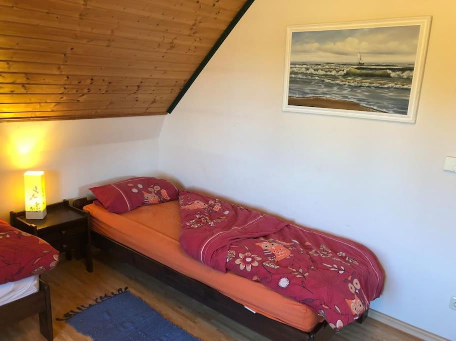 Trollhus - Grosses Familienfreundliches Ferienhaus Борн Экстерьер фото