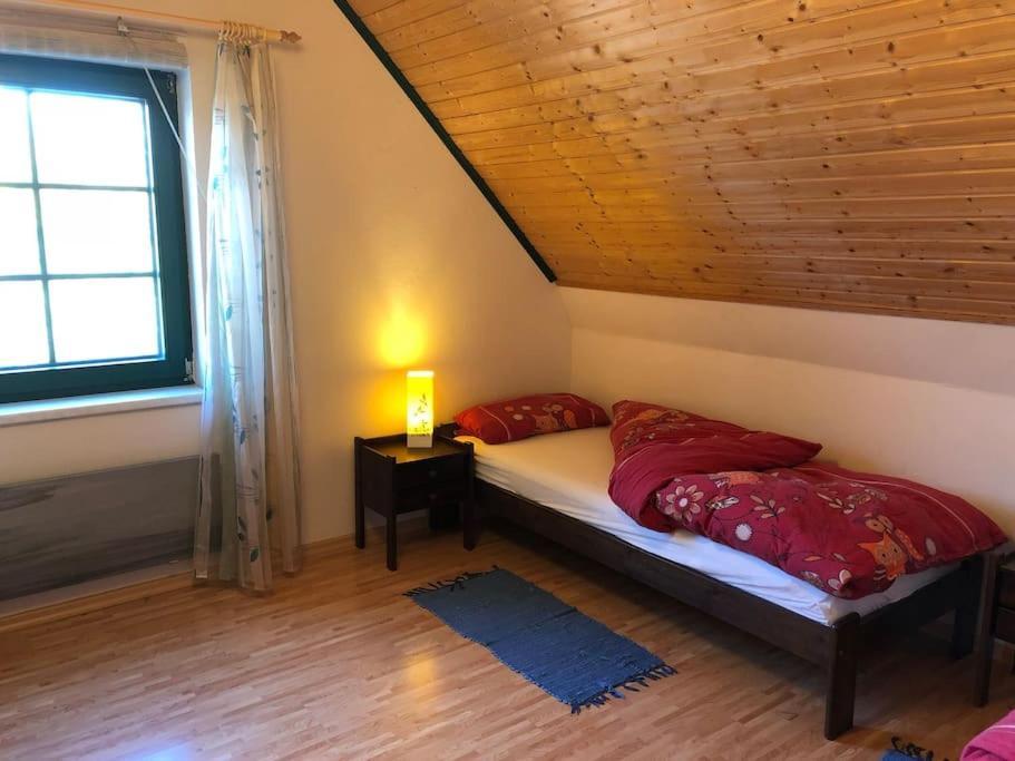 Trollhus - Grosses Familienfreundliches Ferienhaus Борн Экстерьер фото