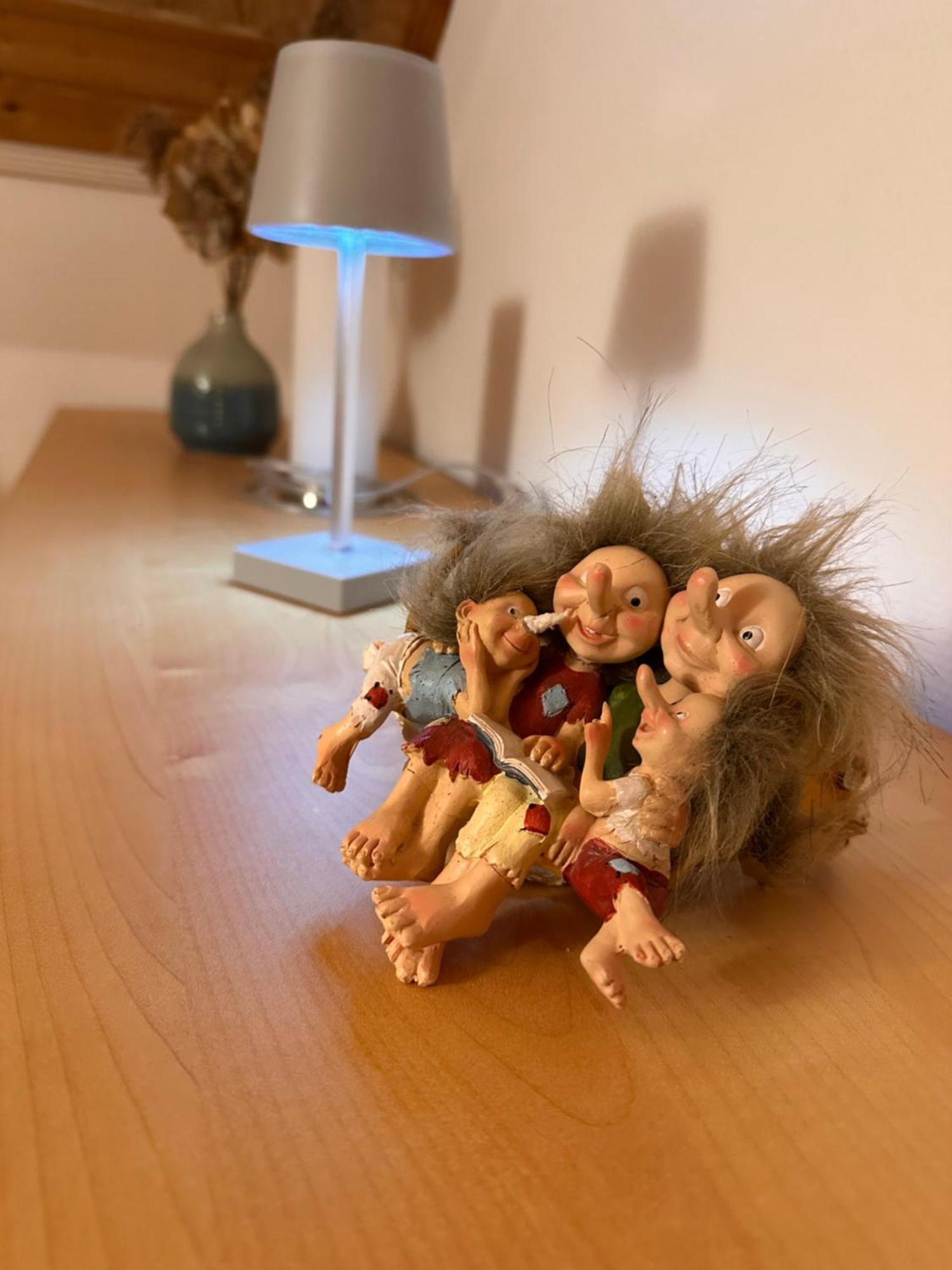 Trollhus - Grosses Familienfreundliches Ferienhaus Борн Экстерьер фото