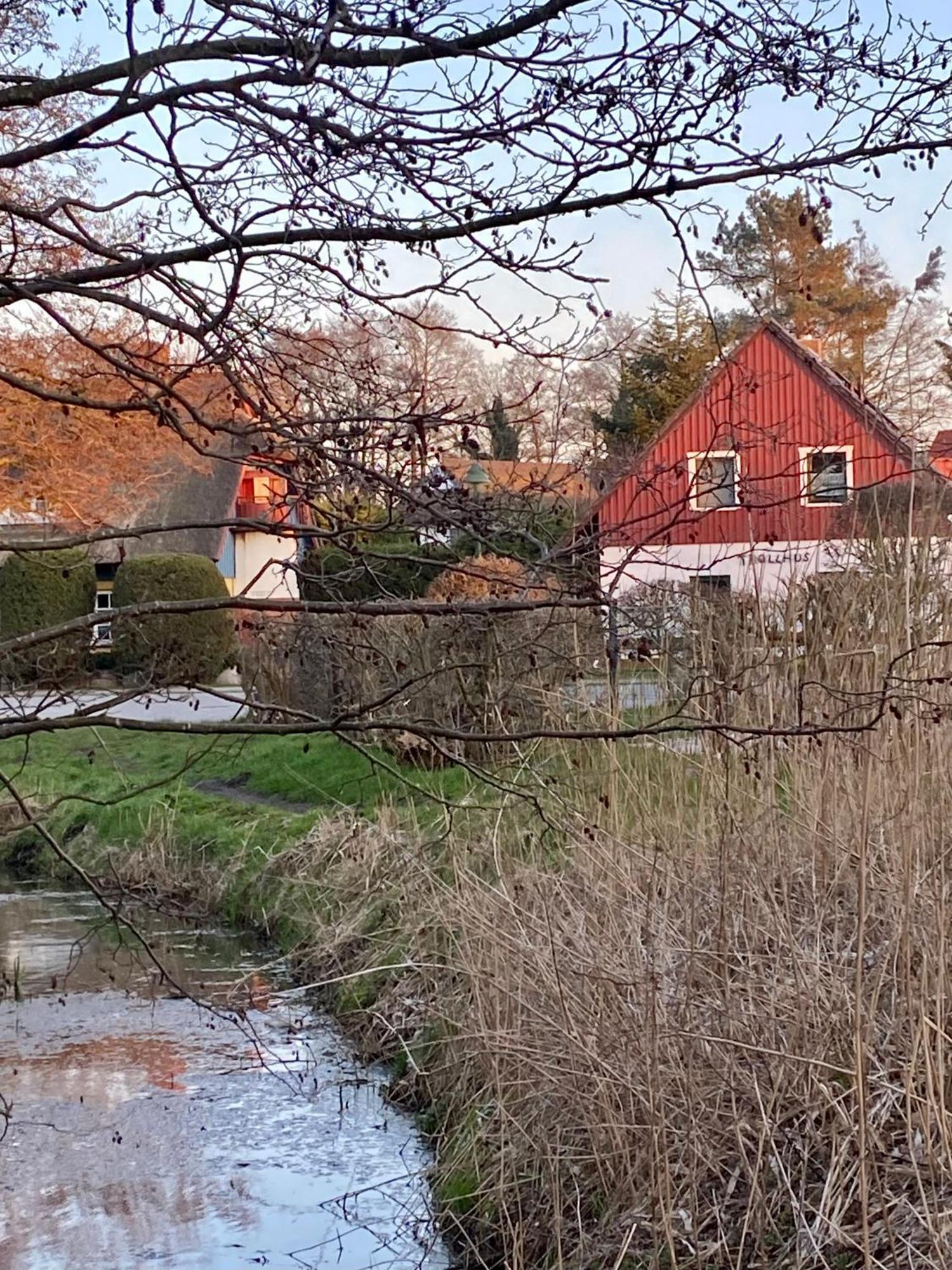 Trollhus - Grosses Familienfreundliches Ferienhaus Борн Экстерьер фото